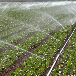 ���̰���