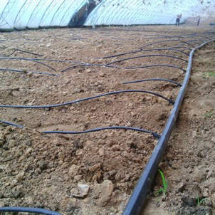 ���̰���