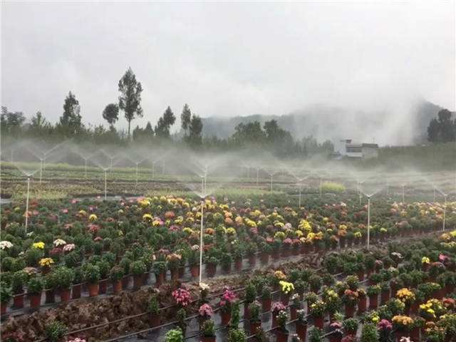 ���̰���