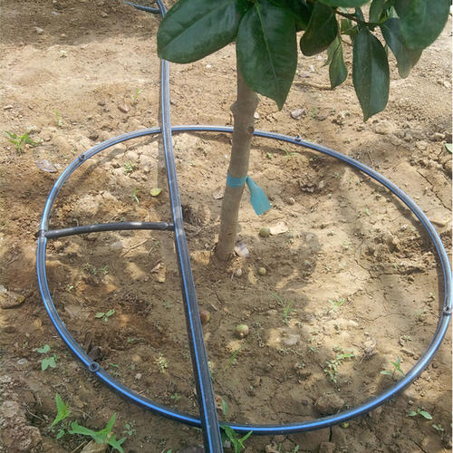 ���̰���